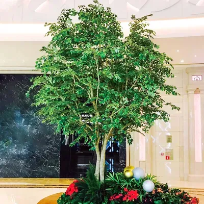 Cây Ficus nhân tạo