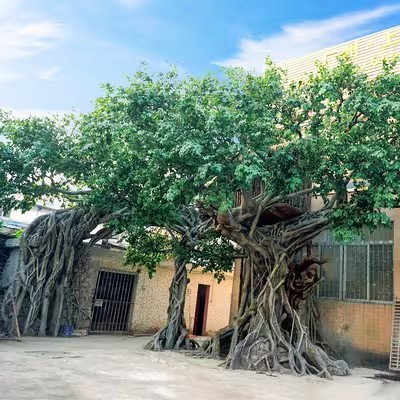 Cây cổ thụ nhân tạo lớn Ficus