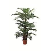Areca nhân tạo cây cọ