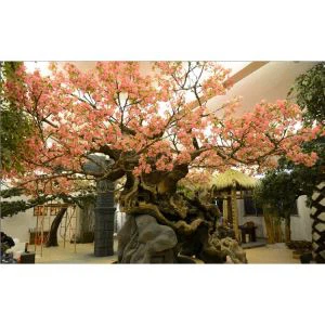 Cây hoa nhân tạo