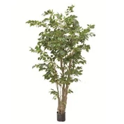 Cây đa nhân tạo cây cảnh