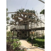 Cây bao báp giả