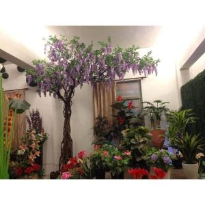 Cây Wisteria giả