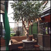 Hồ nhân tạo Oak Tree